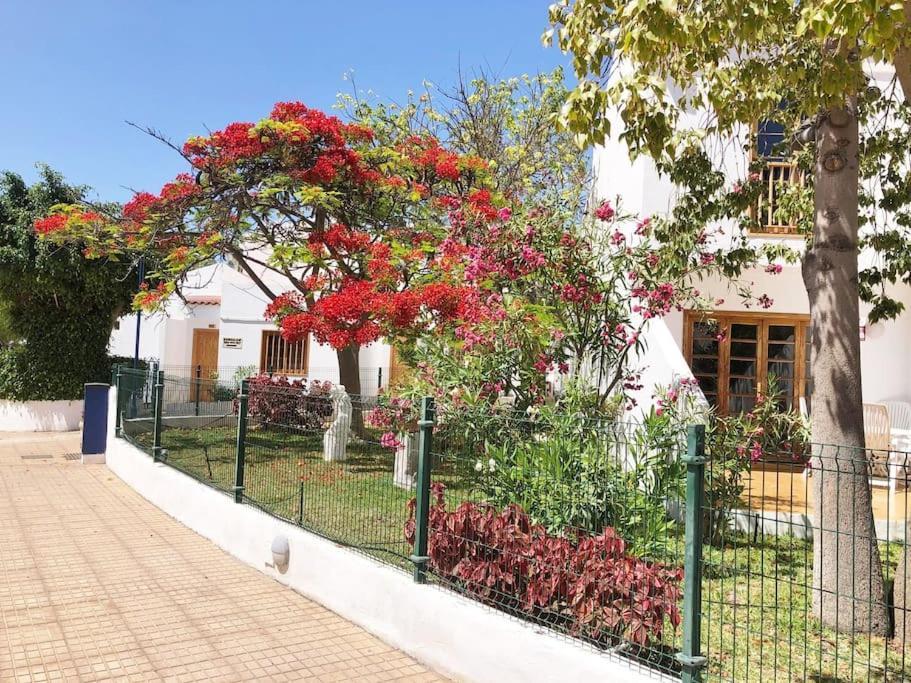 Apartamento Lucia Garden City Con Piscina Climatizada Playa Feñabe Eksteriør billede