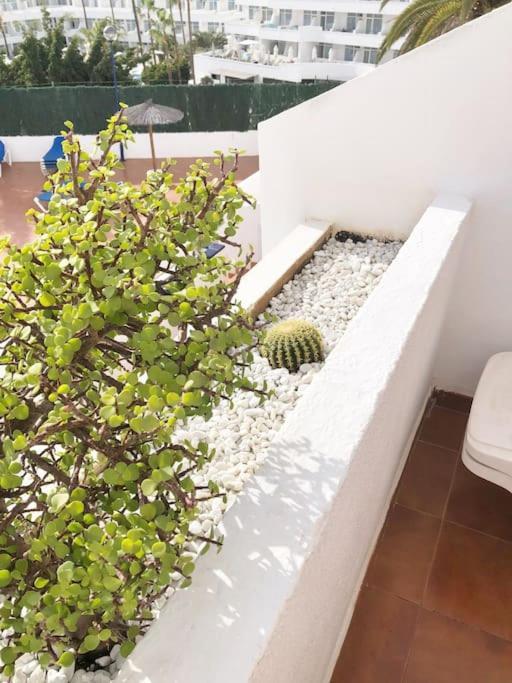 Apartamento Lucia Garden City Con Piscina Climatizada Playa Feñabe Eksteriør billede