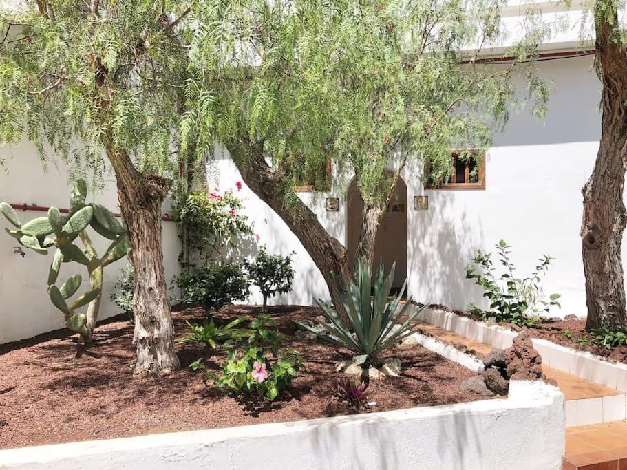 Apartamento Lucia Garden City Con Piscina Climatizada Playa Feñabe Eksteriør billede