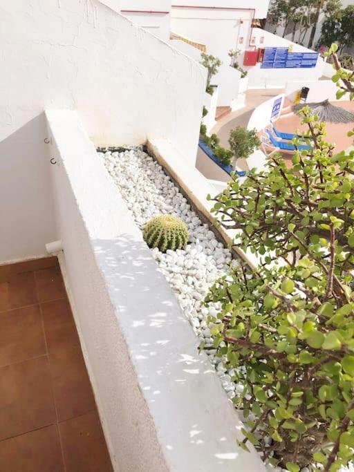 Apartamento Lucia Garden City Con Piscina Climatizada Playa Feñabe Eksteriør billede