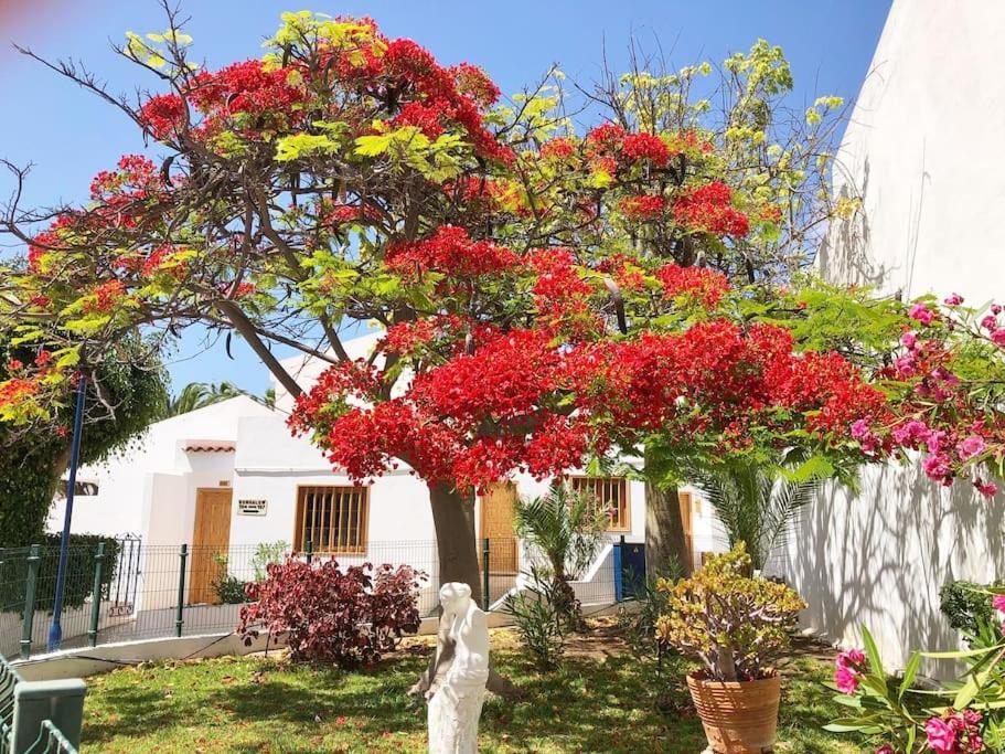 Apartamento Lucia Garden City Con Piscina Climatizada Playa Feñabe Eksteriør billede
